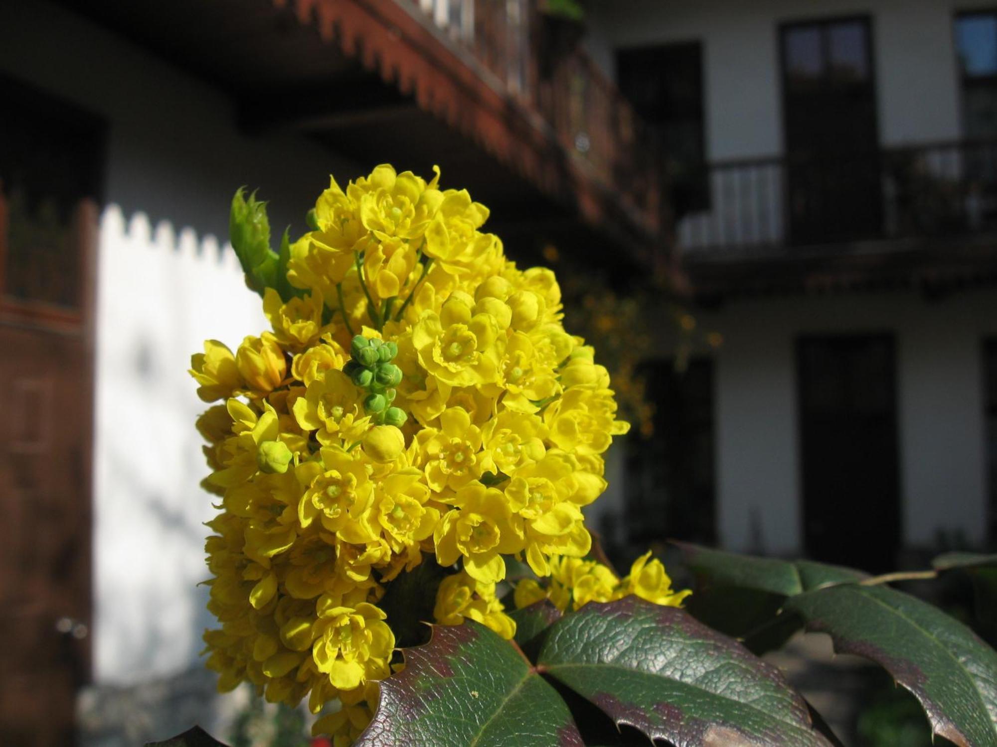 Globtroter Guest House — Photos 2